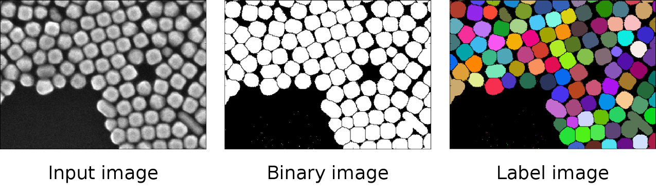 Binary_Label_images.png
