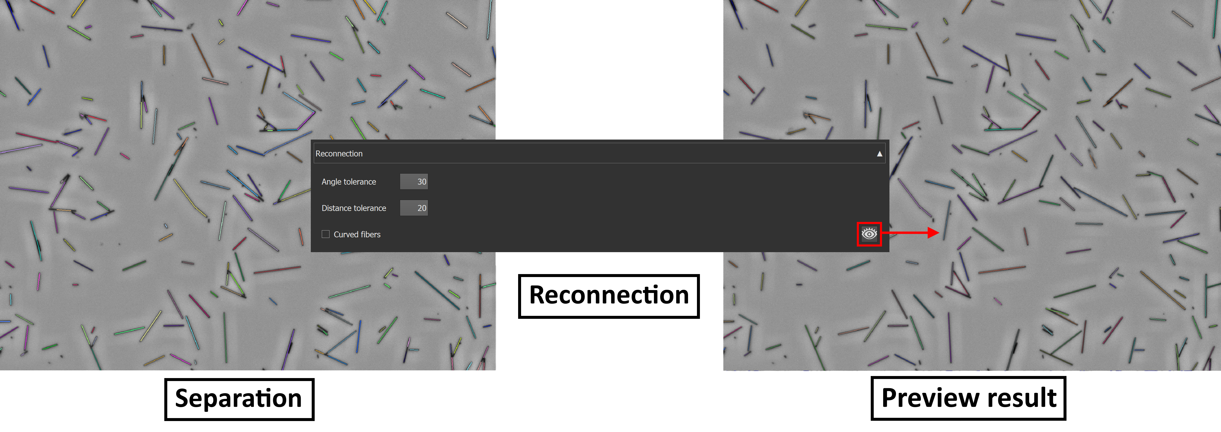 fibersPlugin_reconnection.png