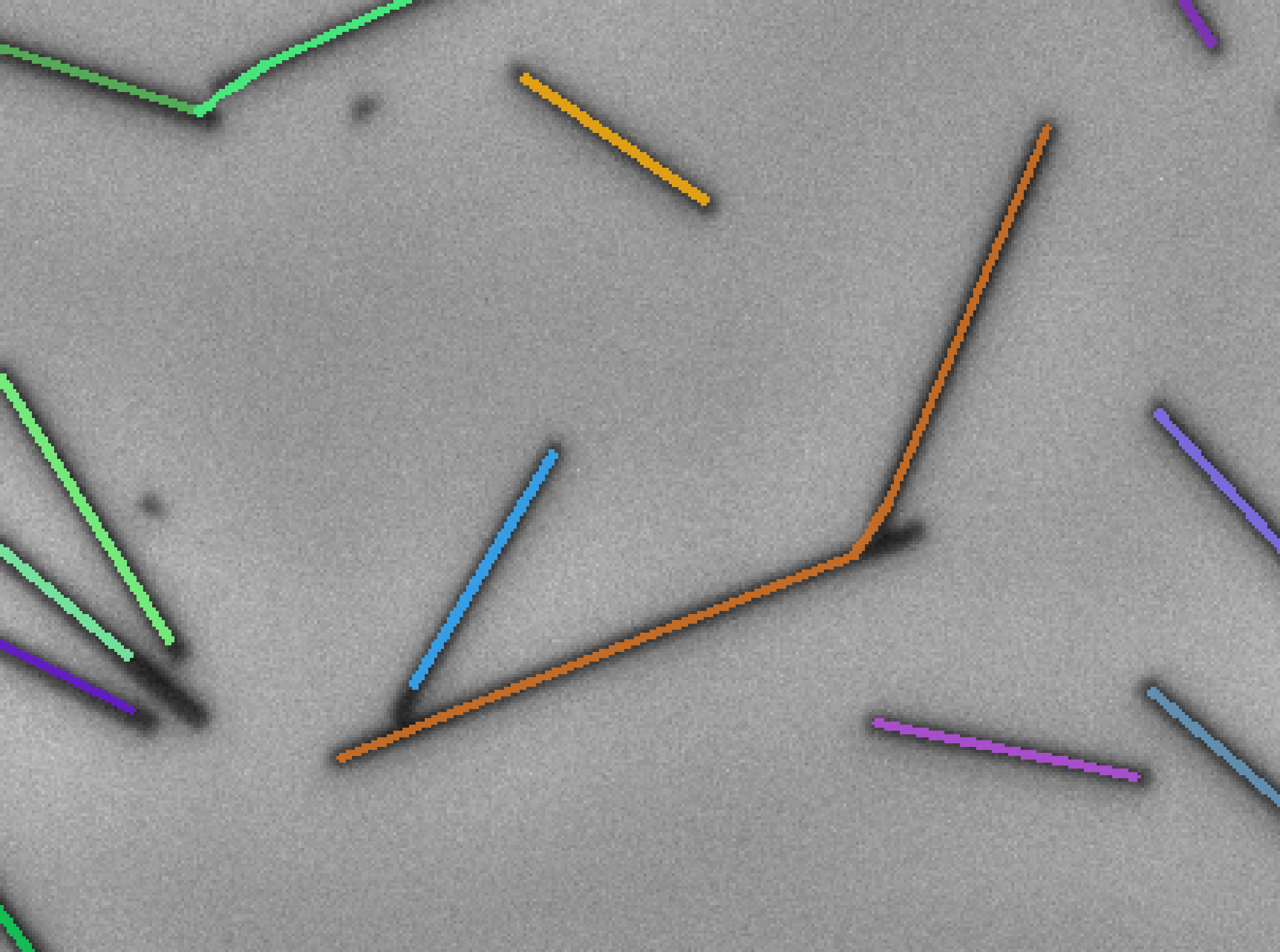 fibersPlugin_reconnection_angleTolerance_90_distanceTolerance_25.png