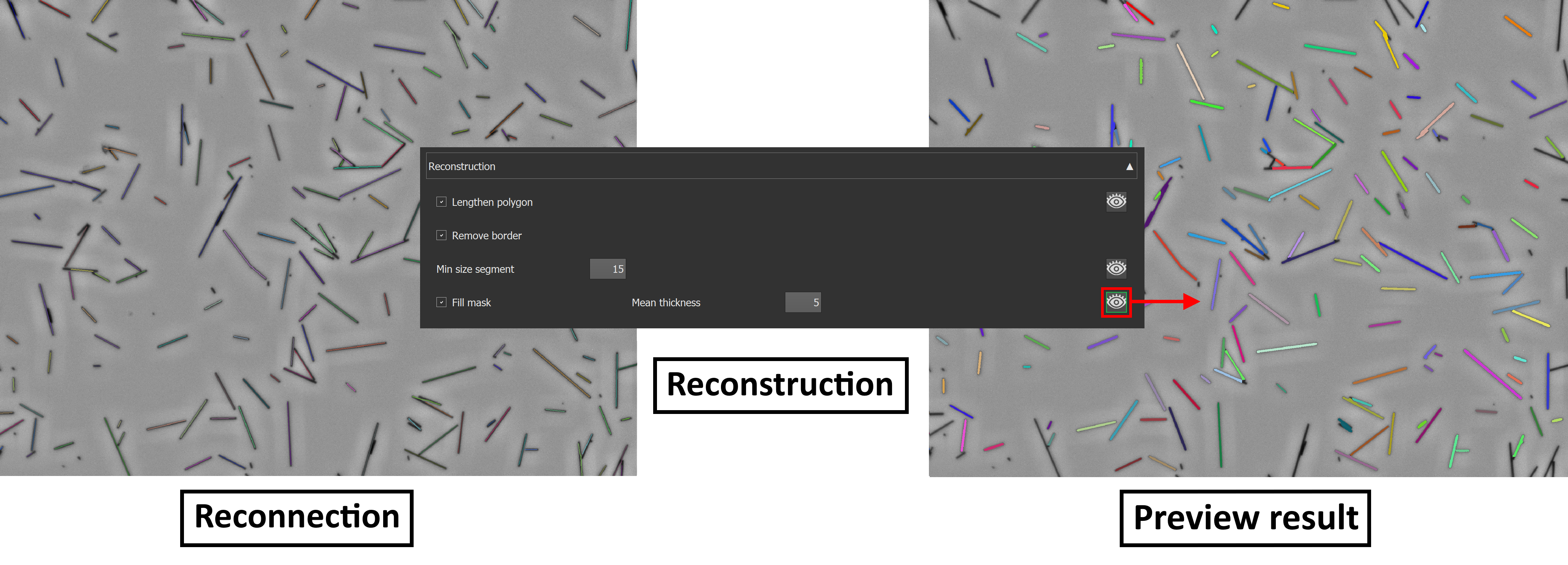 fibersPlugin_reconstruction.png