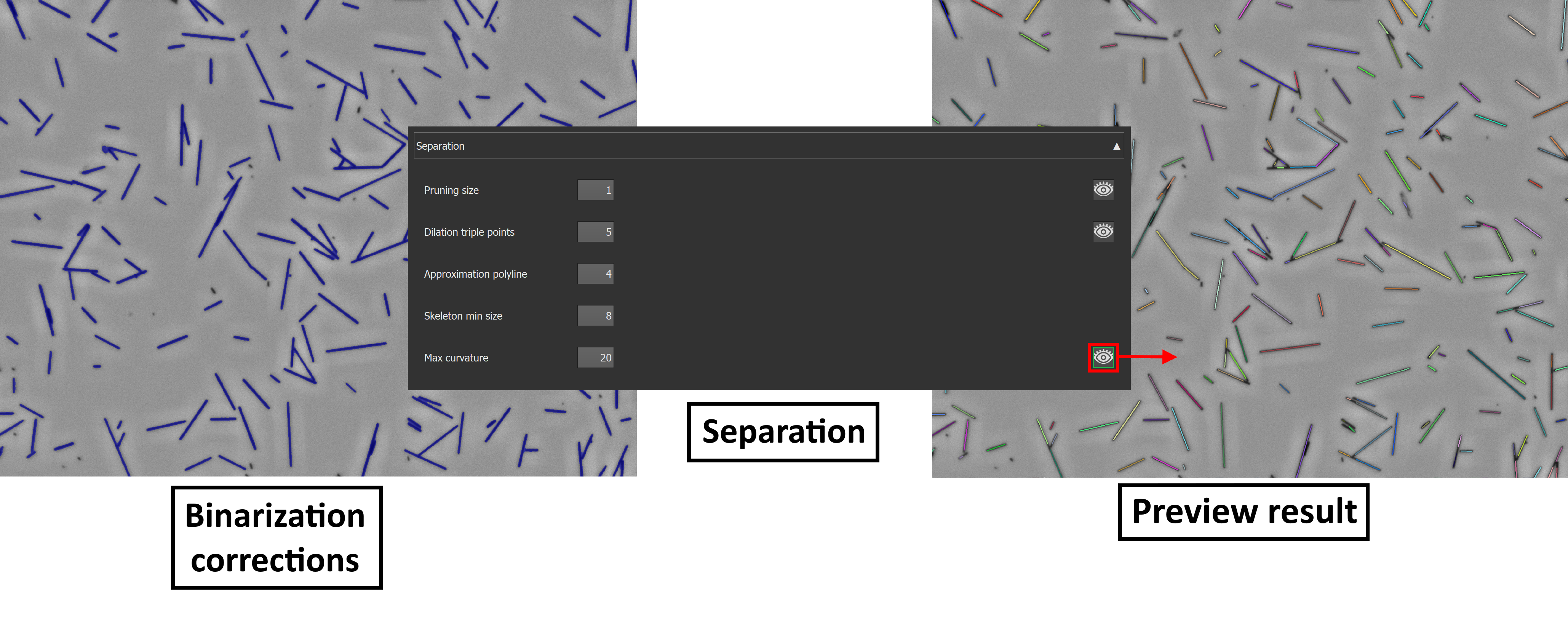 fibersPlugin_separation.png