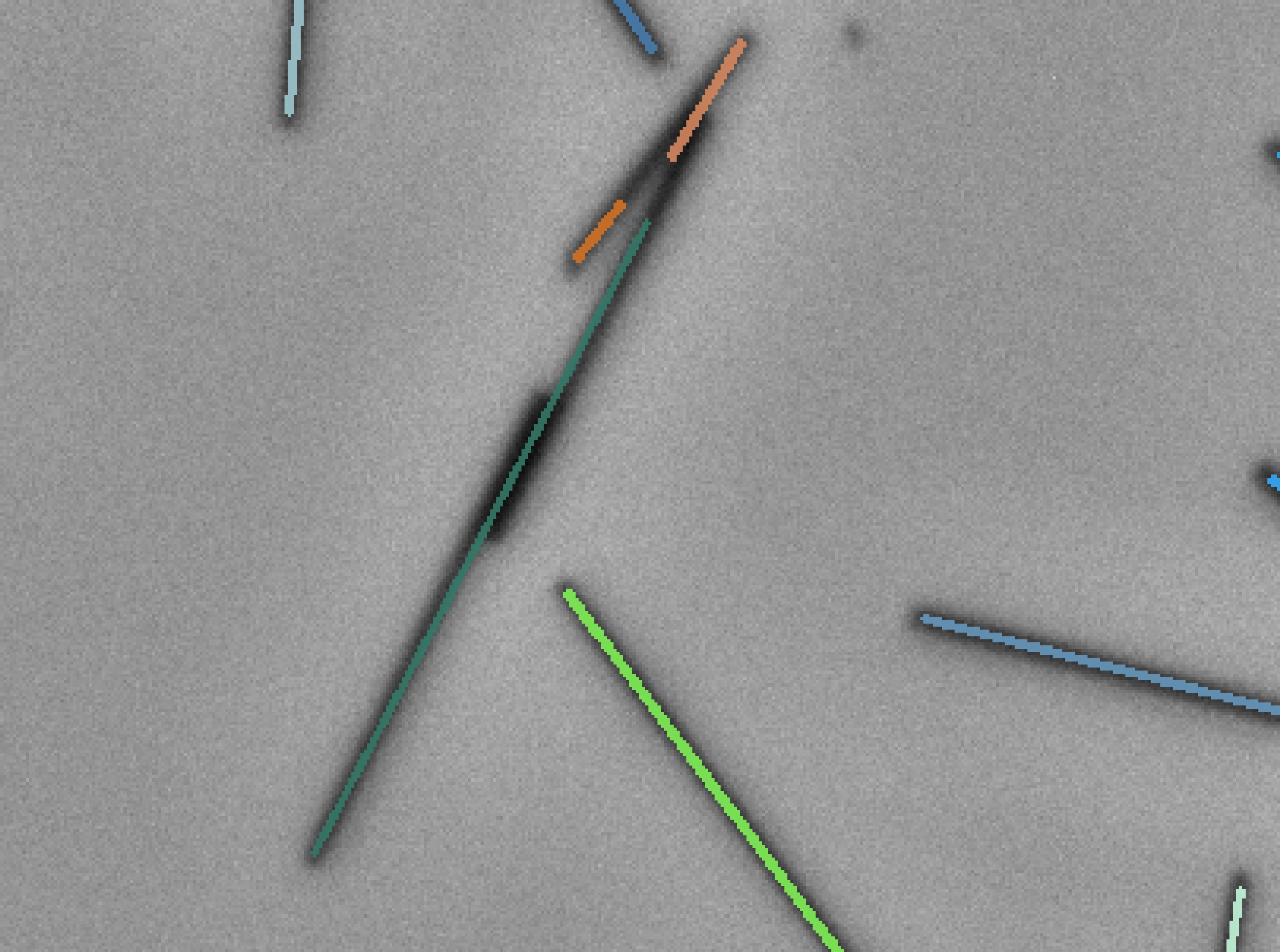fibersPlugin_separation_approxPolyline_val4.png