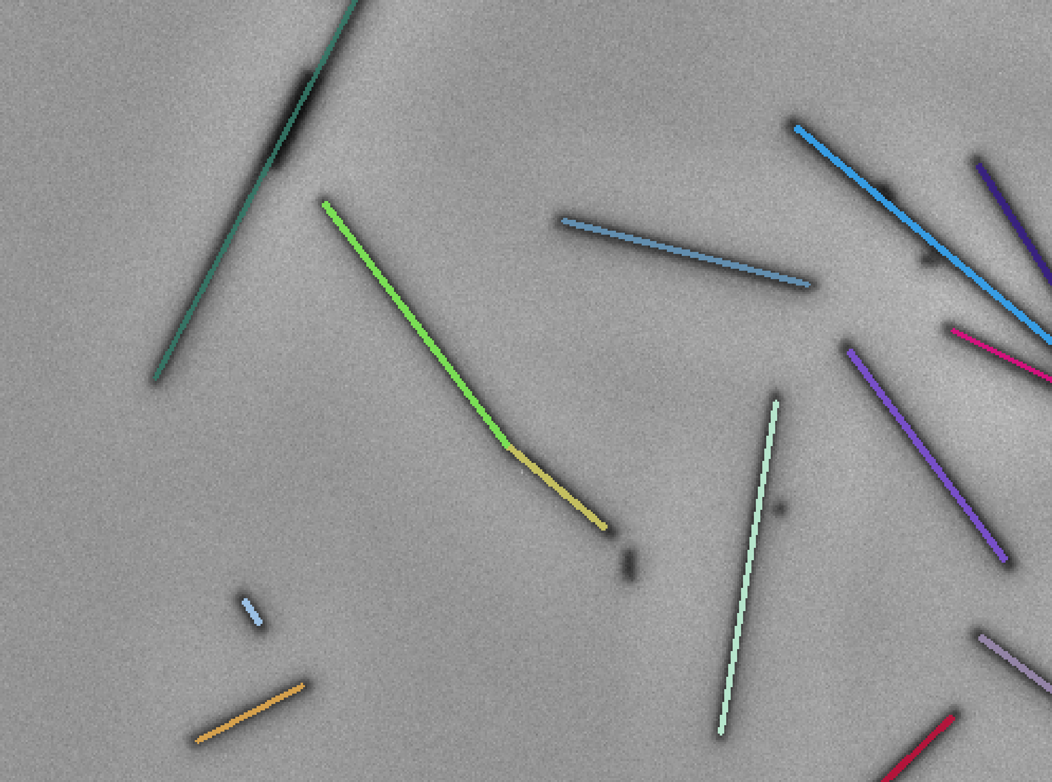 fibersPlugin_separation_maxCurvature_angle10.png