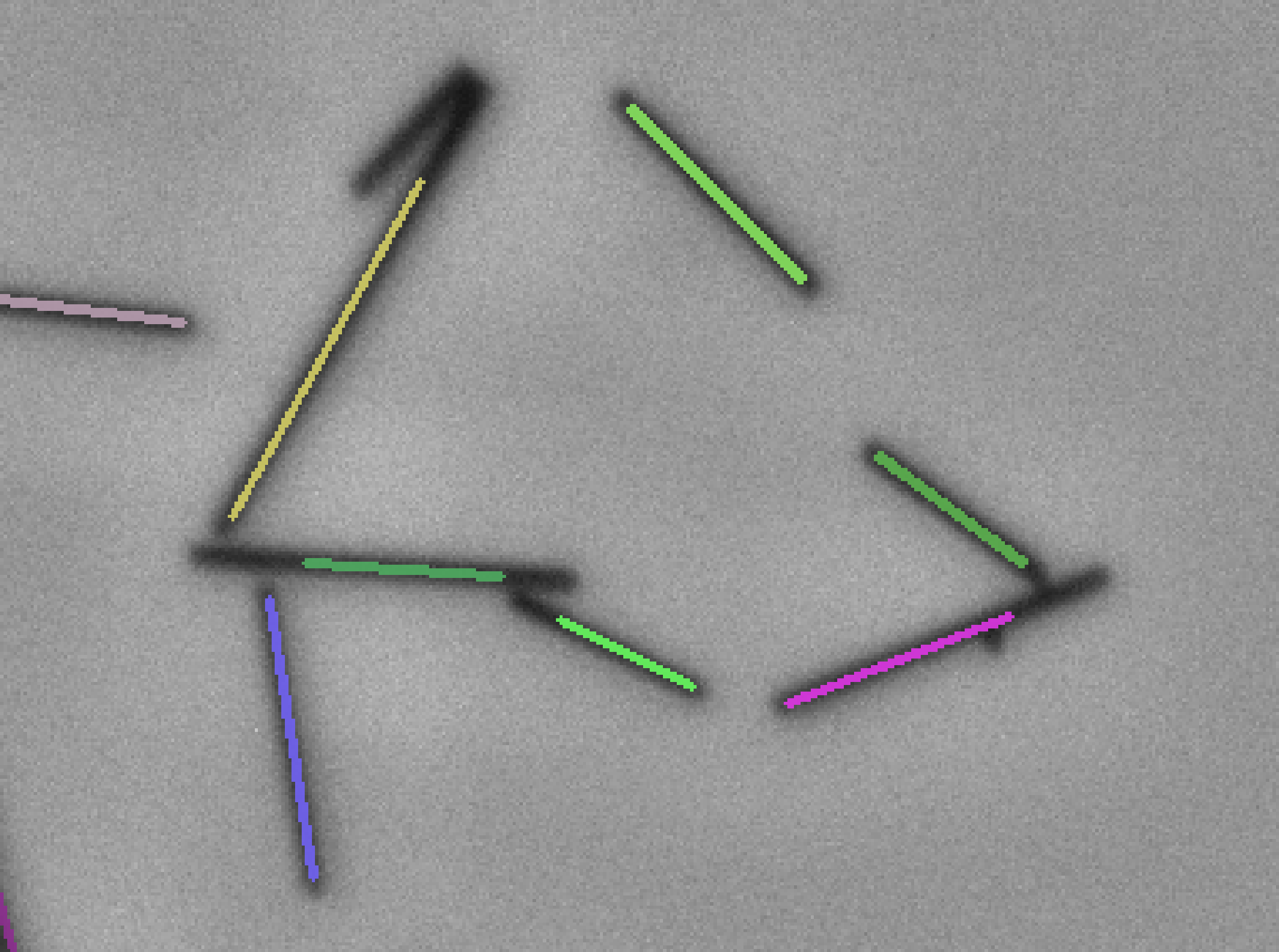 fibersPlugin_separation_skeletonMinsize_size10.png