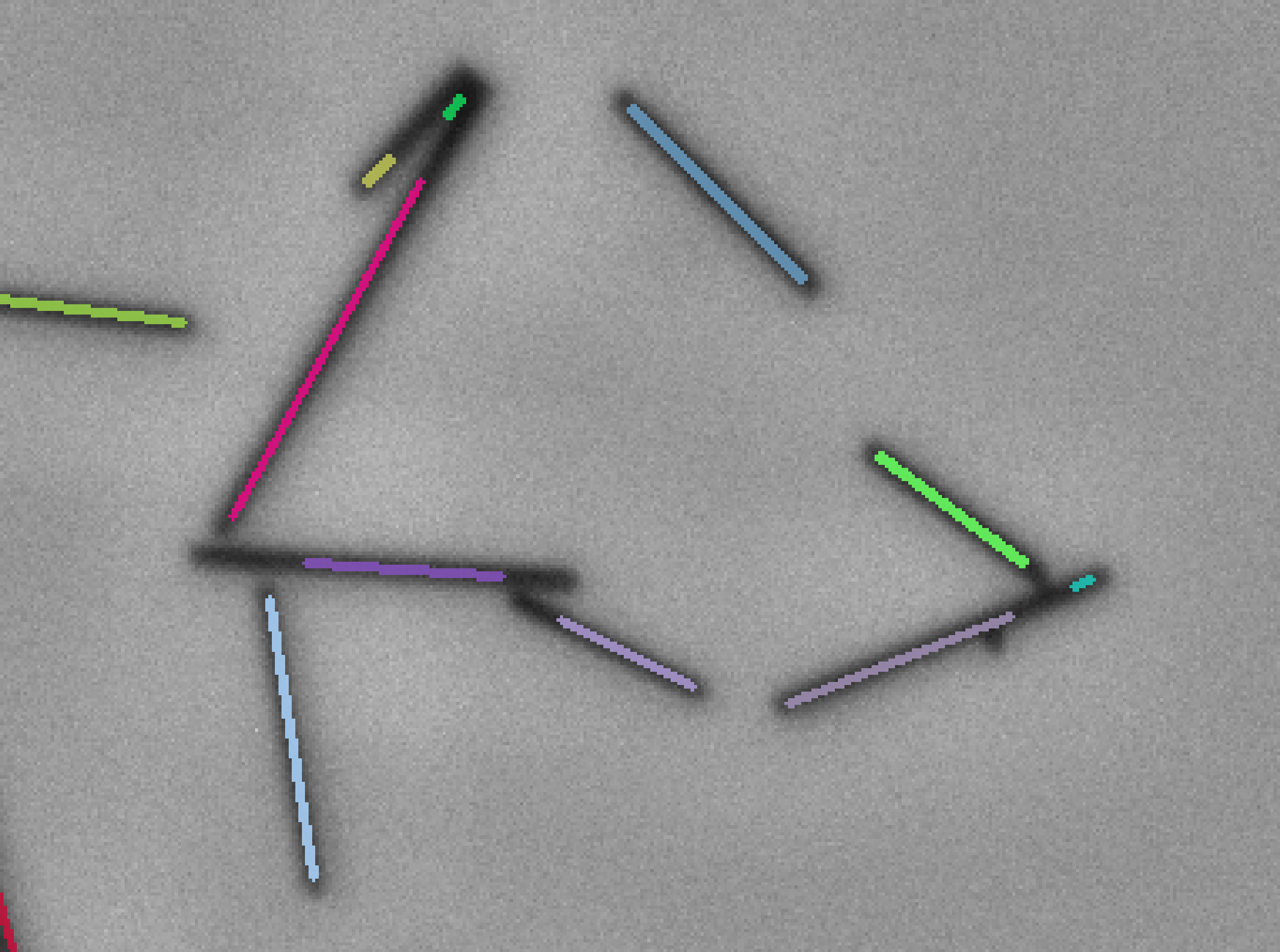 fibersPlugin_separation_skeletonMinsize_size5.png