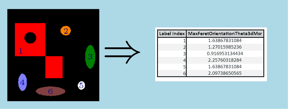 MaxFeretOrientationTheta3dMsr.png