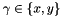 $ \gamma \in \left\{ x, y \right\} $