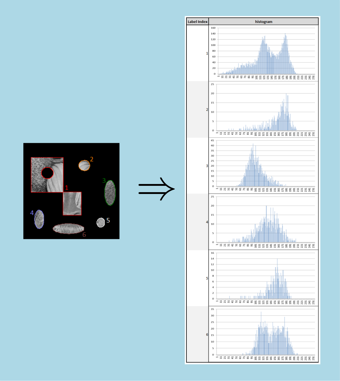 histogramMsr.png