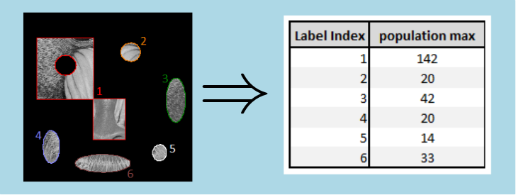 histogramPopulationMaxMsr.png