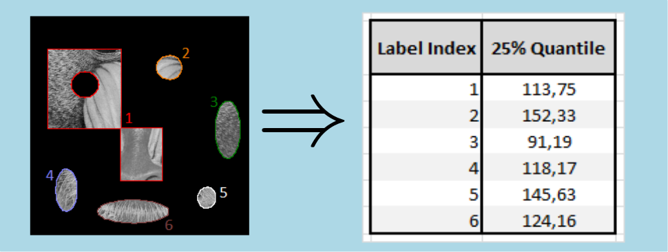 histogramQuantileMsr.png