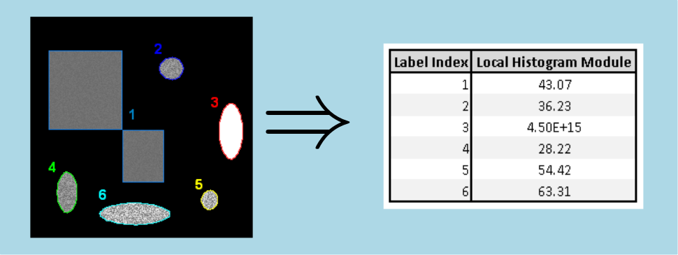 localHistogramModuleMsr.png