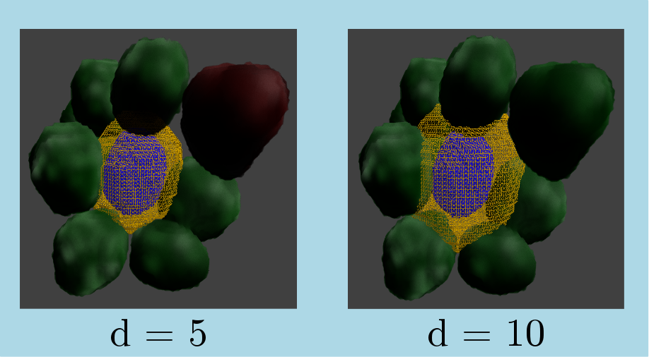 nearestNeighbors3d_shape.png