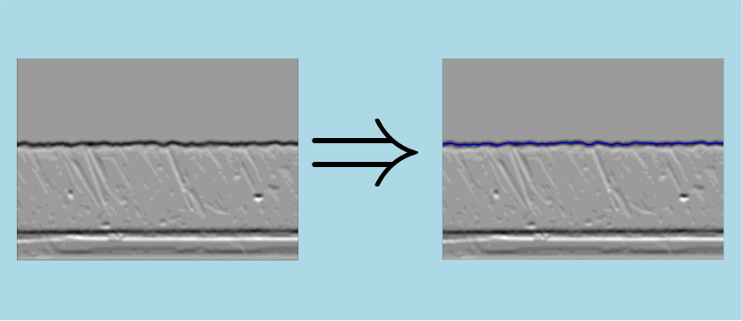 ridgeLine2dImg_example.png