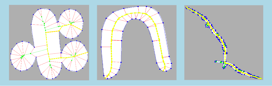 skeleton2dDiameterMsr_sample2.png