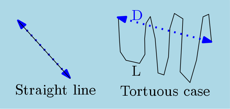 skeleton2dDiameterTortuosityMsr1.png