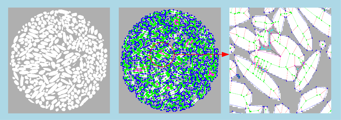 skeleton2dMsr_sample6.png