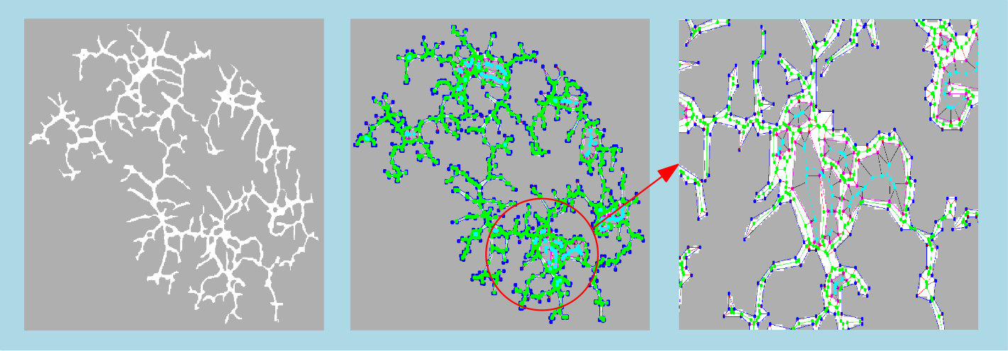 skeleton2dMsr_sample7.png