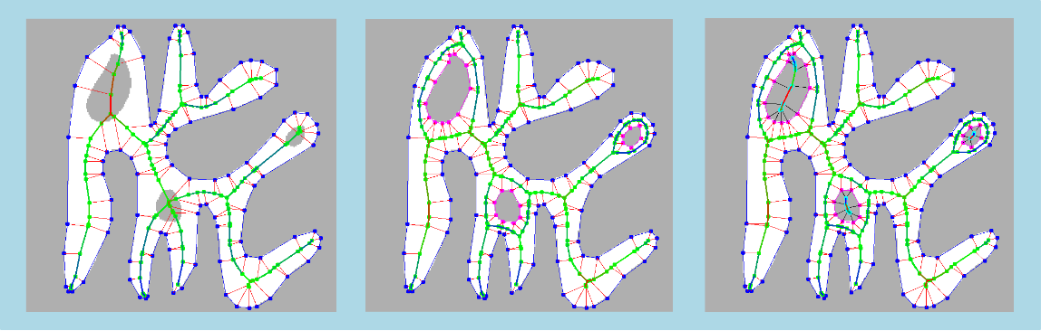 skeleton2dThicknessMsr2.png
