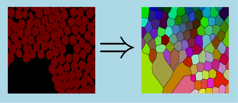 watershedBinarySeparation2dImgBasins.png
