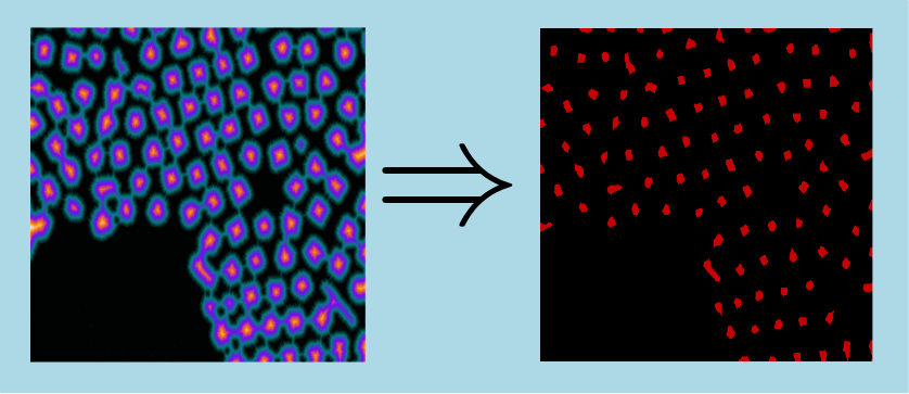 watershedBinarySeparation2dImgDilateLocalExtrema.png