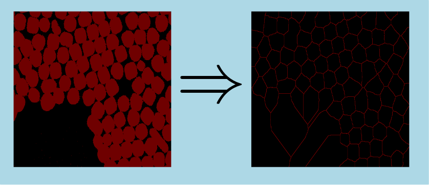 watershedBinarySeparation2dImgLines.png