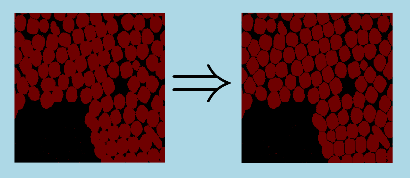 watershedBinarySeparation2dImgSplit.png