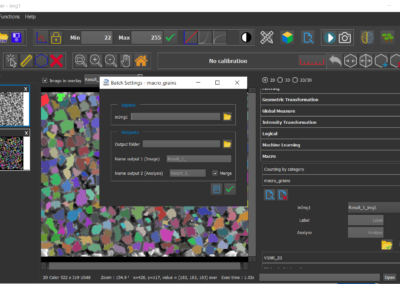 IPSDK Batch Processing