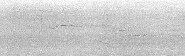 pre-processed-image Deroule