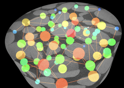 Pore Network Modeling (PNM)