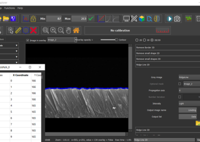 Ridgeline : Path detection based on energy minimization