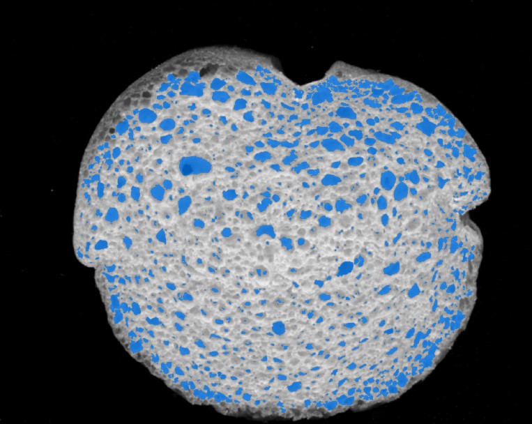 binary-image-after-separation